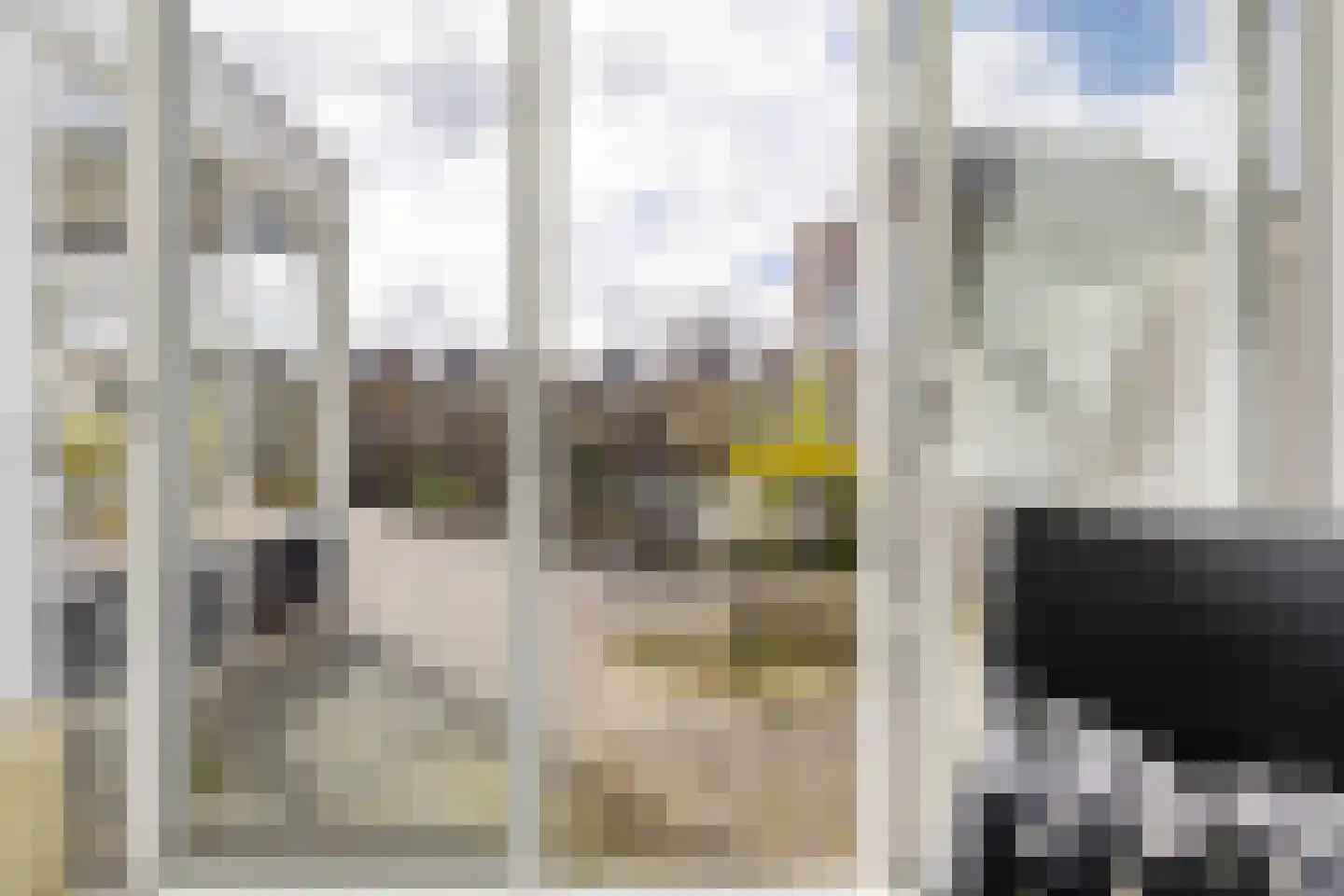 Goudhaver 44 Zeewolde thumbnail 12