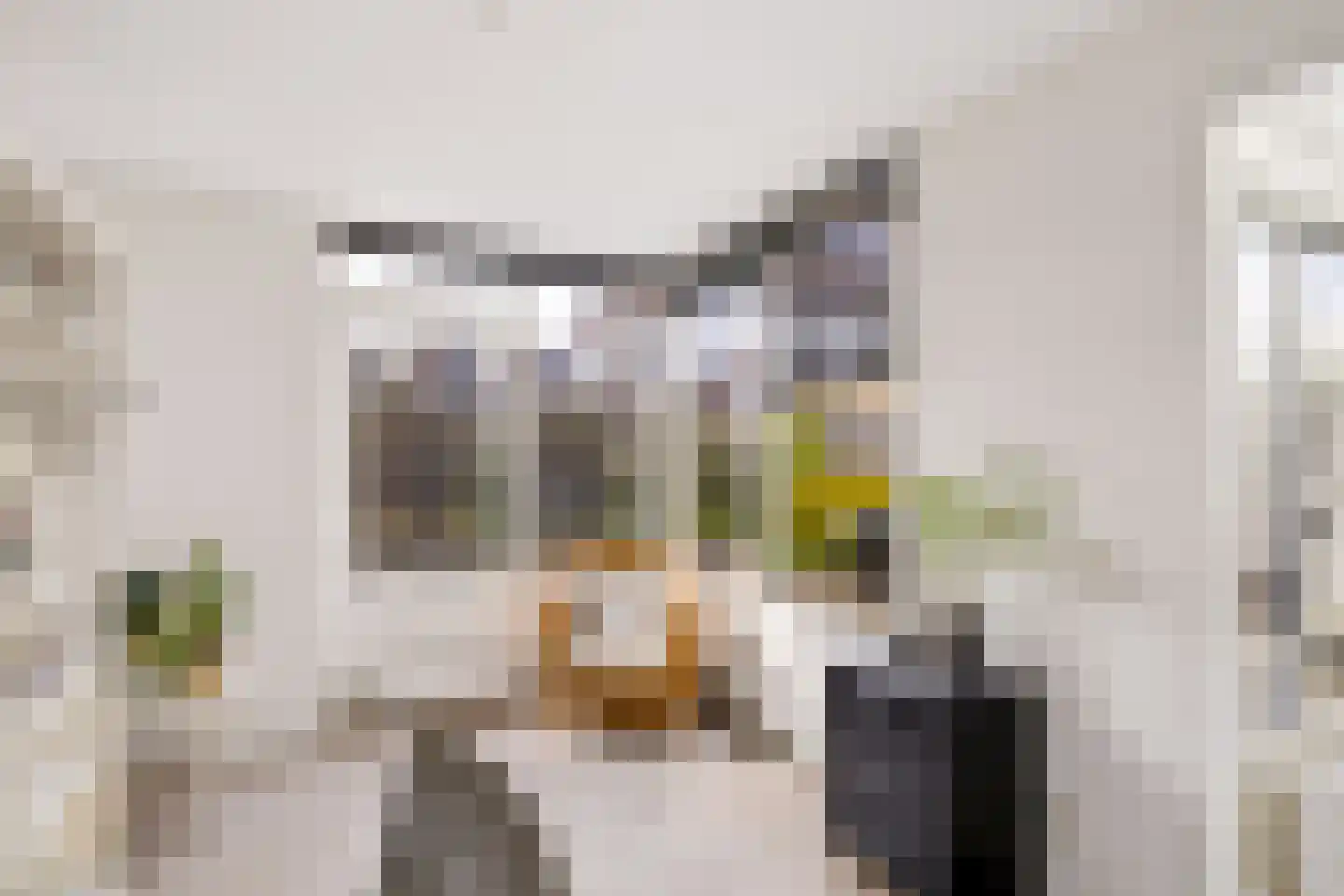 Goudhaver 44 Zeewolde thumbnail 15