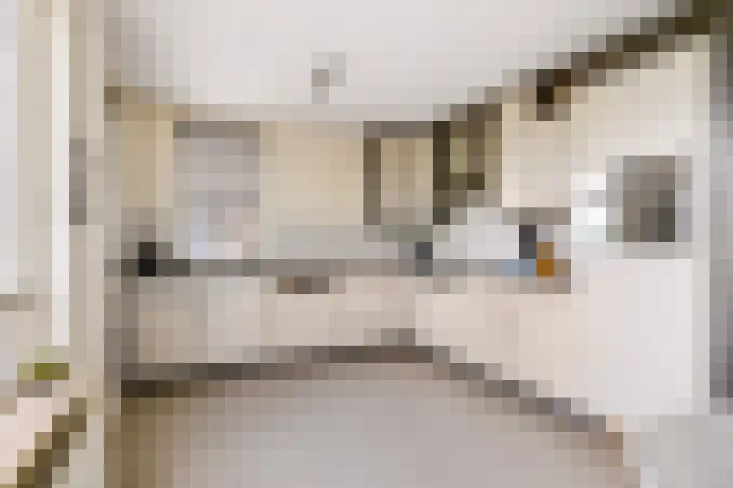 Goudhaver 44 Zeewolde thumbnail 21