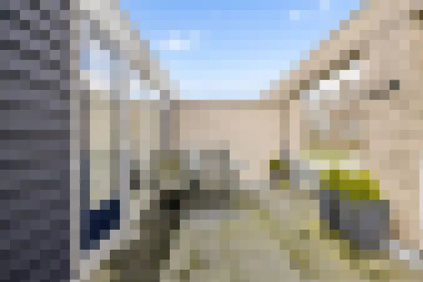 Goudhaver 44 Zeewolde thumbnail 42