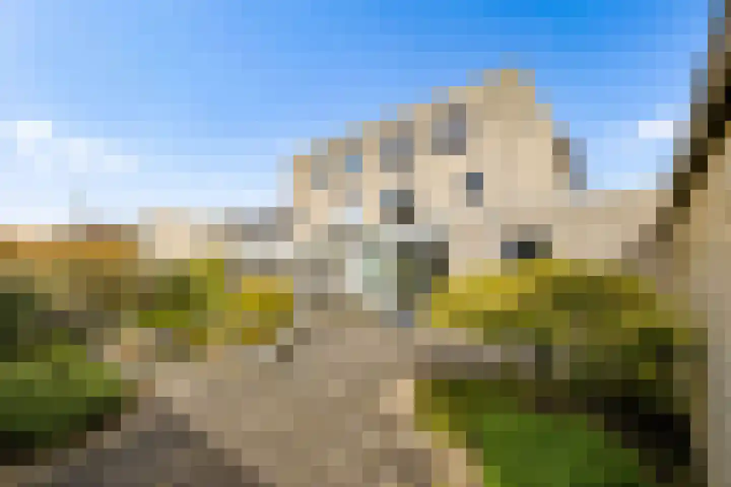 Goudhaver 44 Zeewolde thumbnail 44