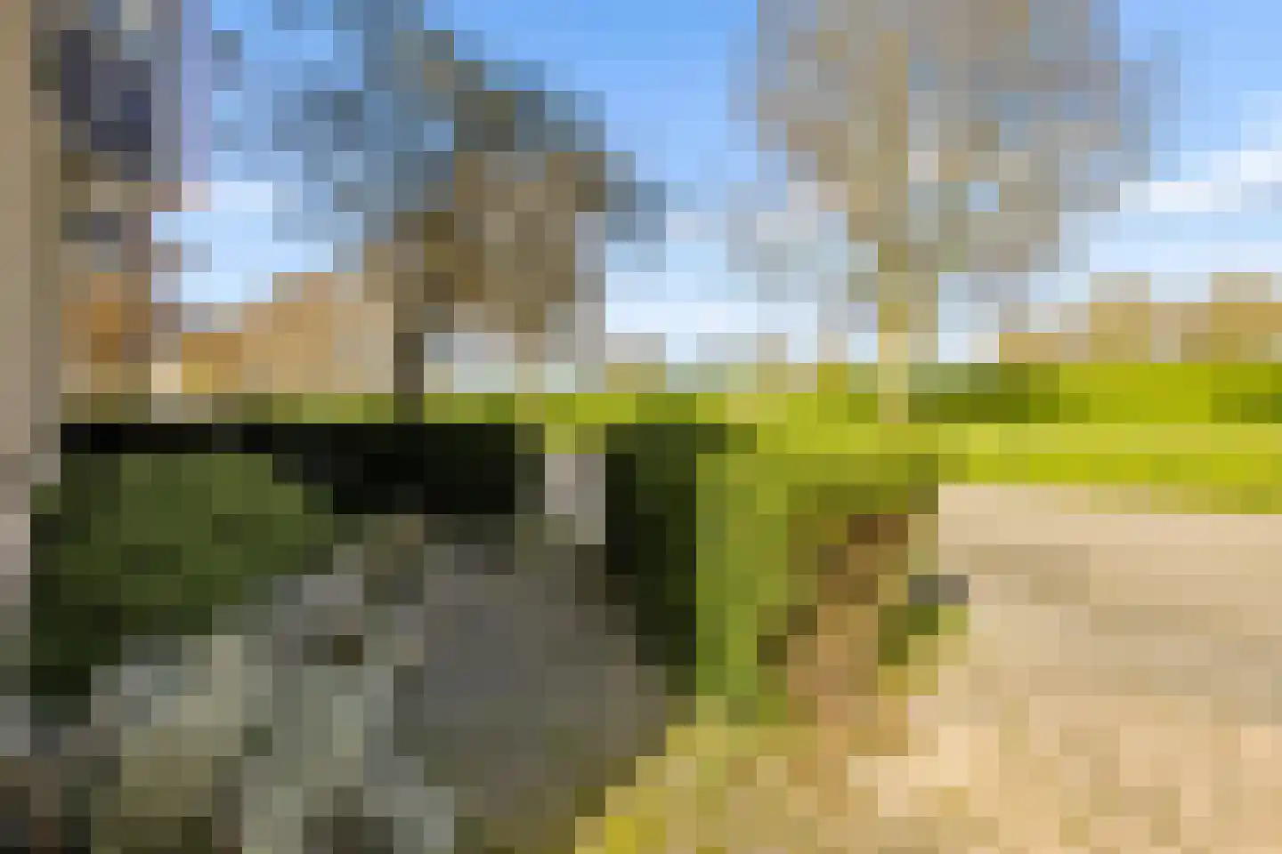 Goudhaver 44 Zeewolde thumbnail 52