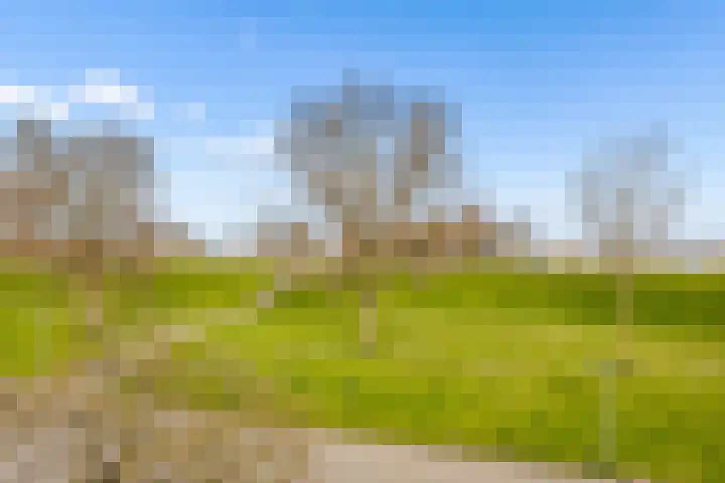 Goudhaver 44 Zeewolde thumbnail 58