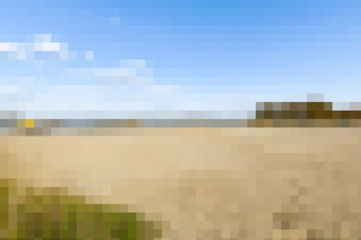 Goudhaver 44 Zeewolde thumbnail 59