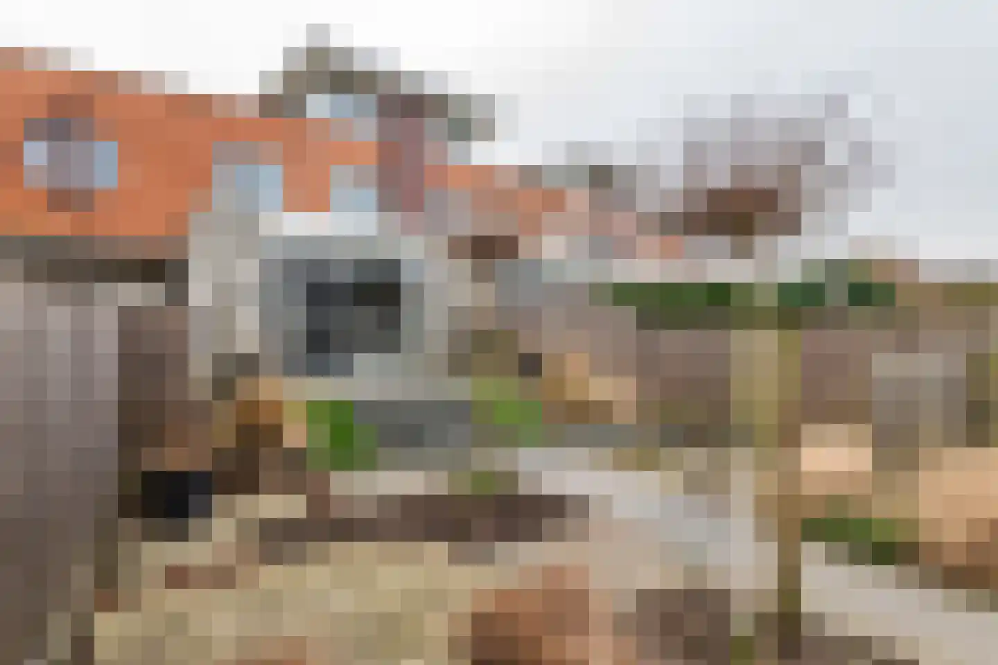 Goudhaver 45 Tiel