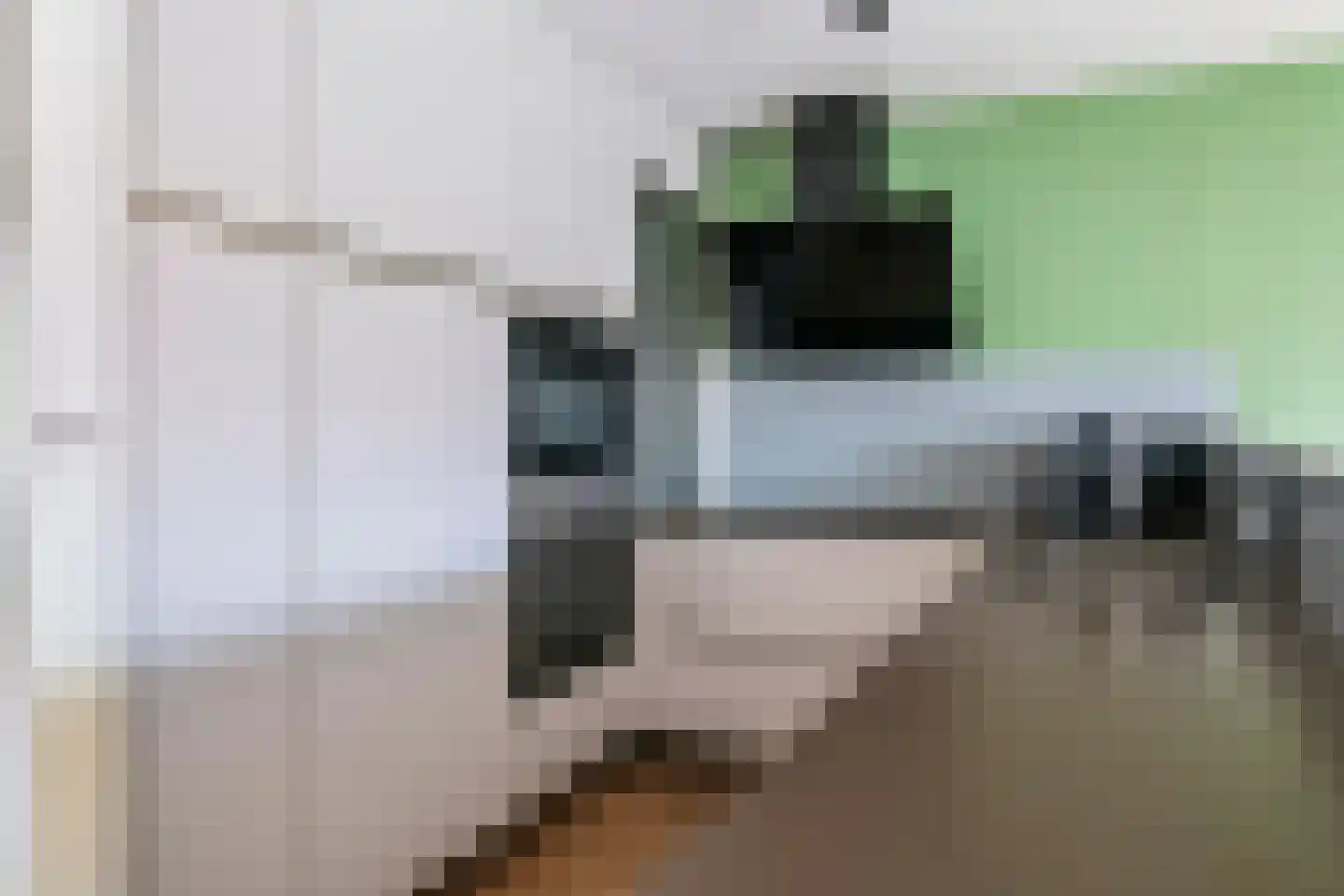Goudhaver 45 Tiel thumbnail 11