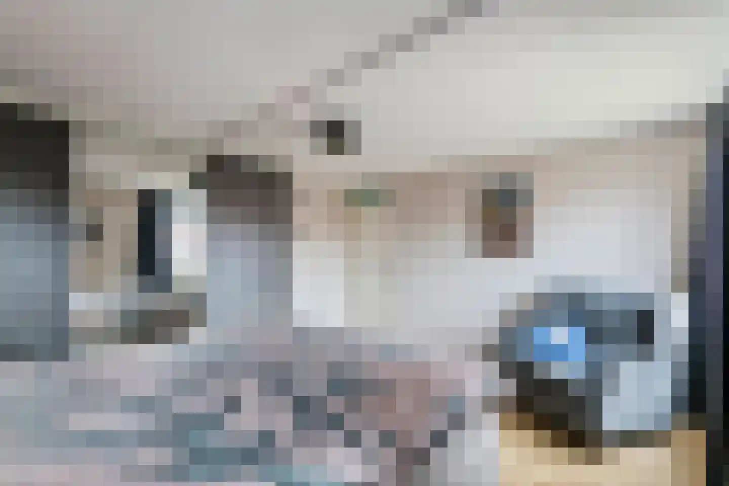 Goudhaver 45 Tiel thumbnail 24
