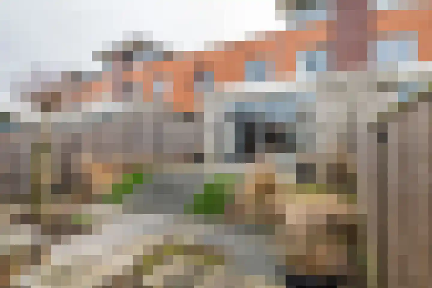 Goudhaver 45 Tiel thumbnail 37