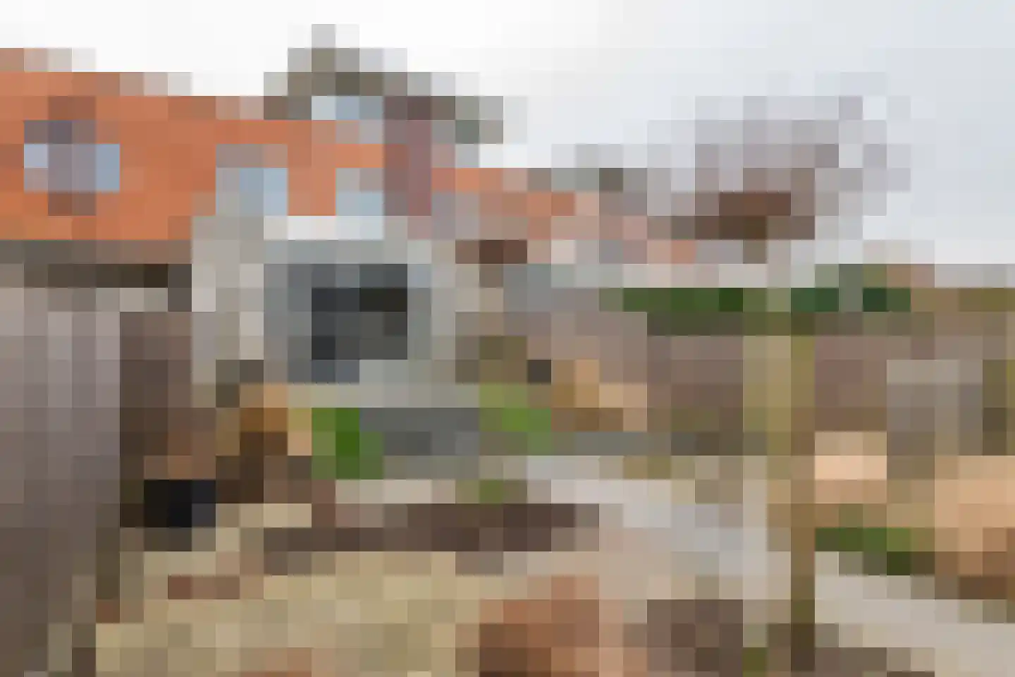 Goudhaver 45 Tiel thumbnail 38