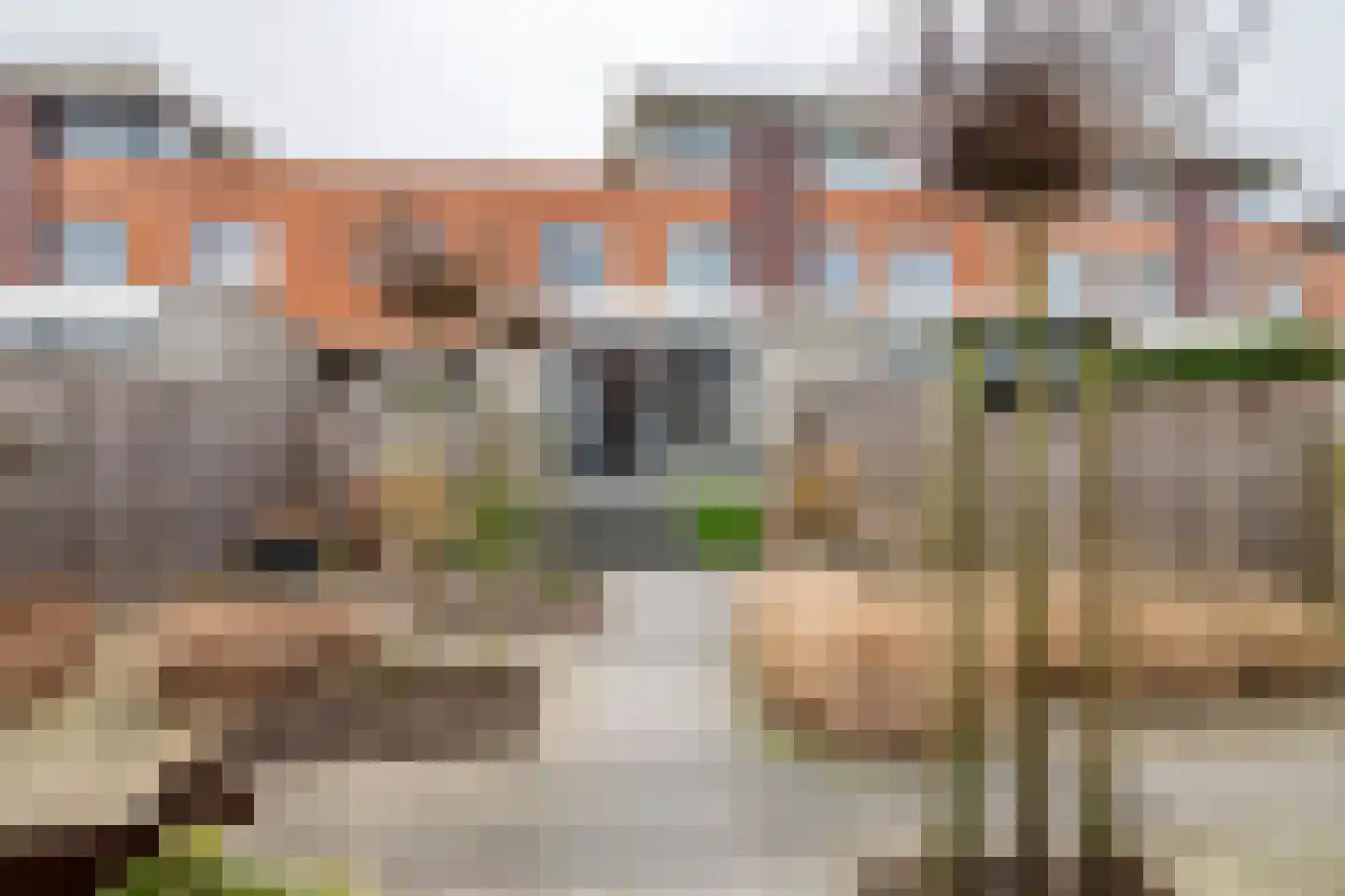 Goudhaver 45 Tiel thumbnail 39