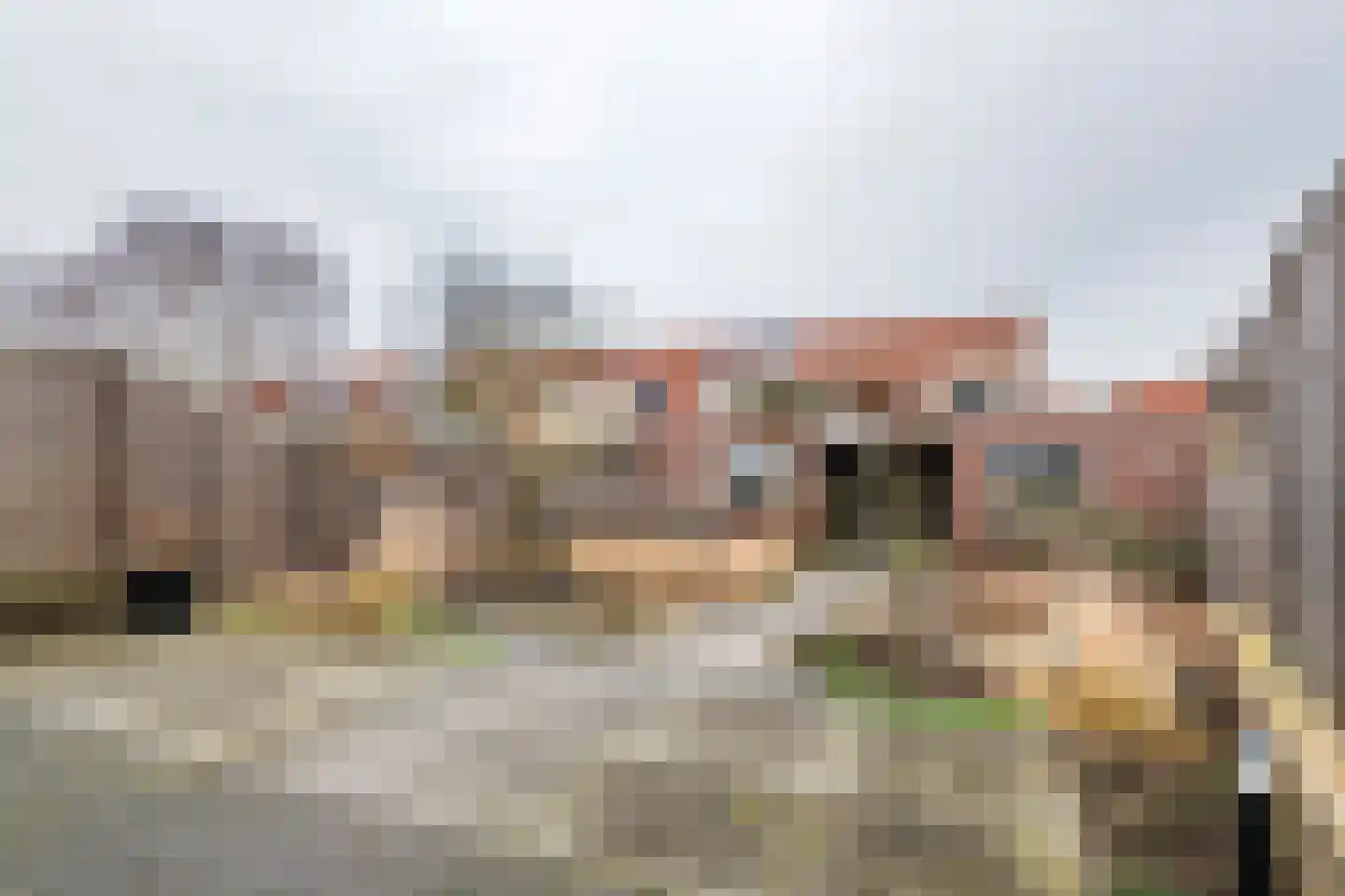 Goudhaver 45 Tiel thumbnail 40