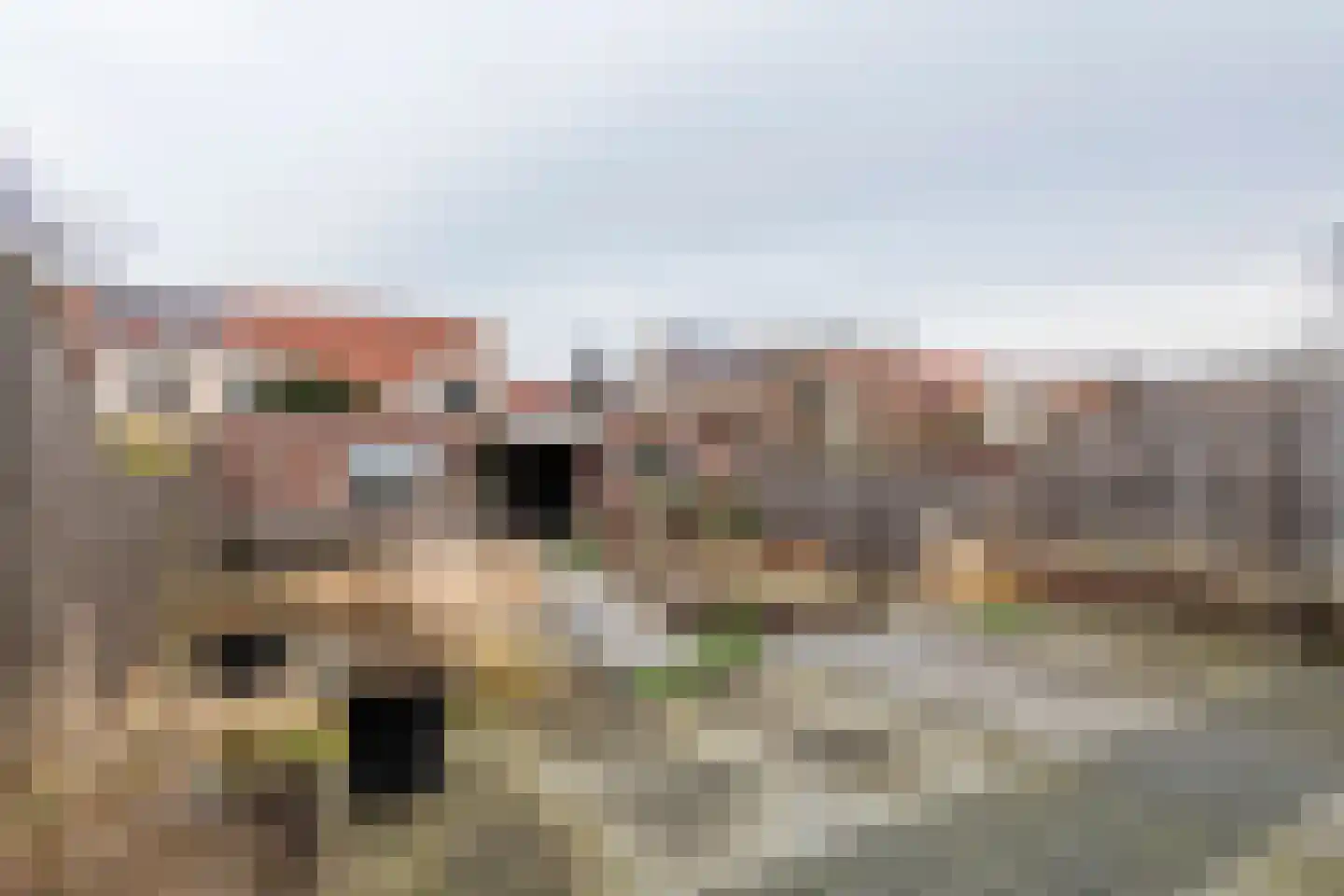 Goudhaver 45 Tiel thumbnail 41