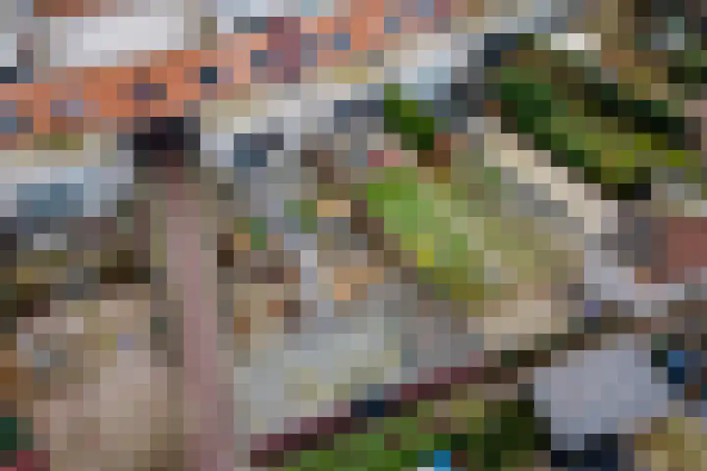 Goudhaver 45 Tiel thumbnail 42