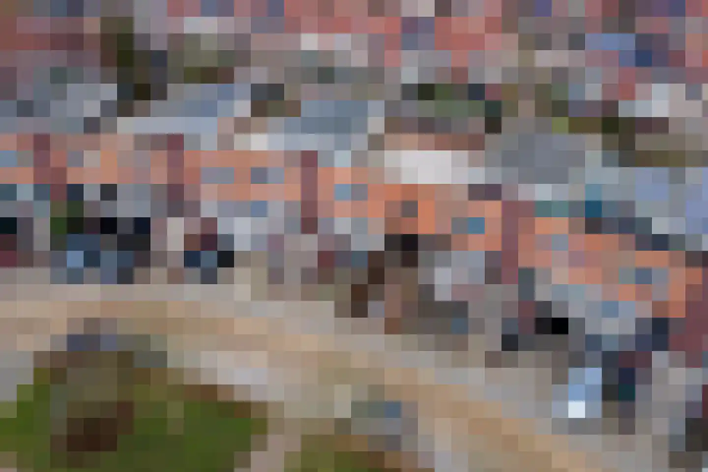 Goudhaver 45 Tiel thumbnail 44