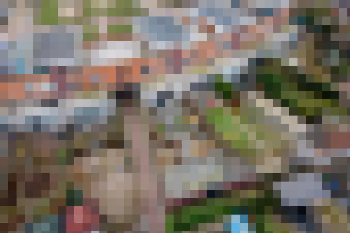 Goudhaver 45 Tiel thumbnail 46