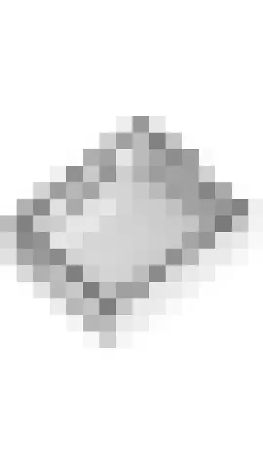 Goudhaver 45 Tiel thumbnail 48