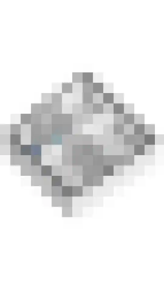 Goudhaver 45 Tiel thumbnail 52