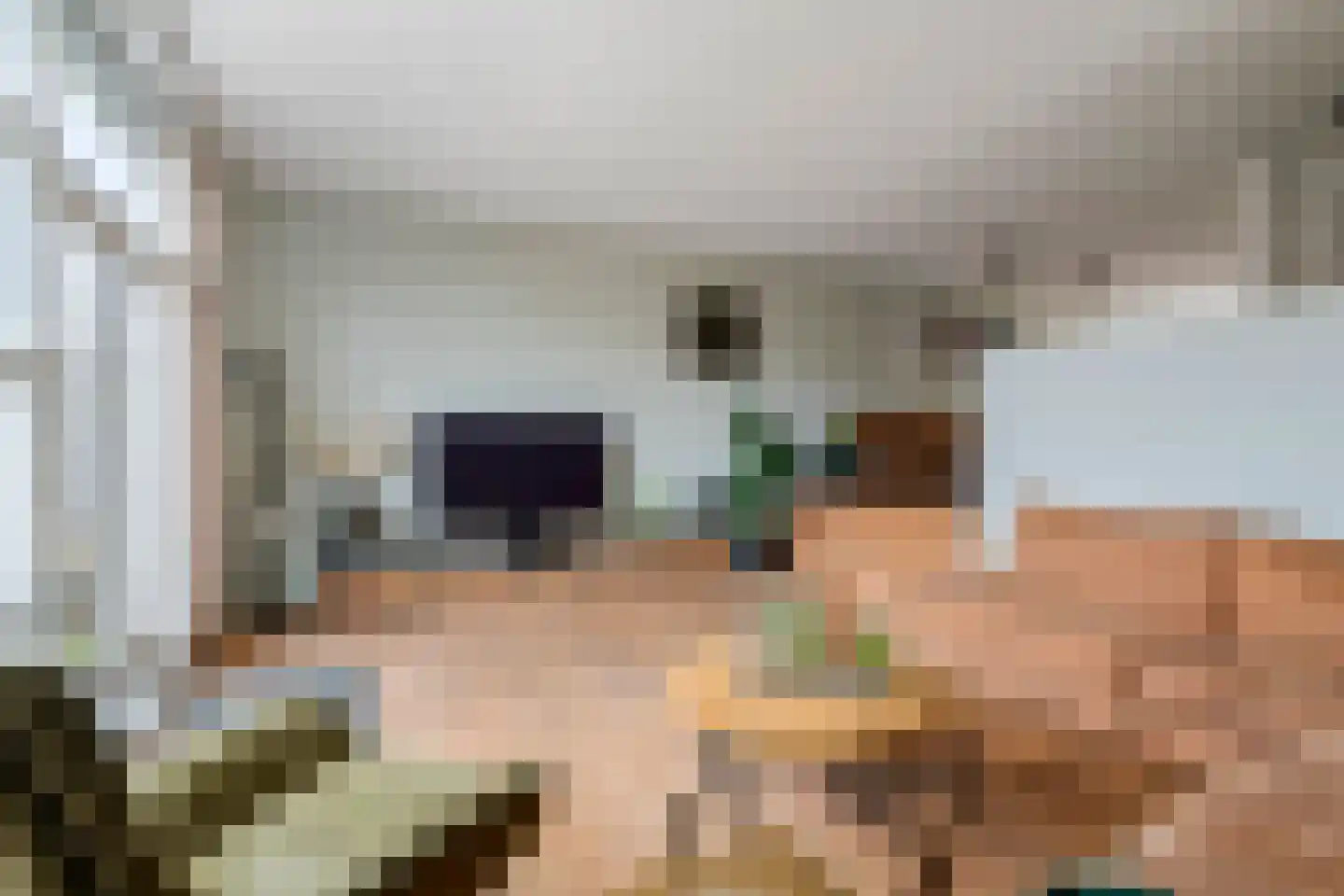 Goudhaver 45 Tiel thumbnail 6