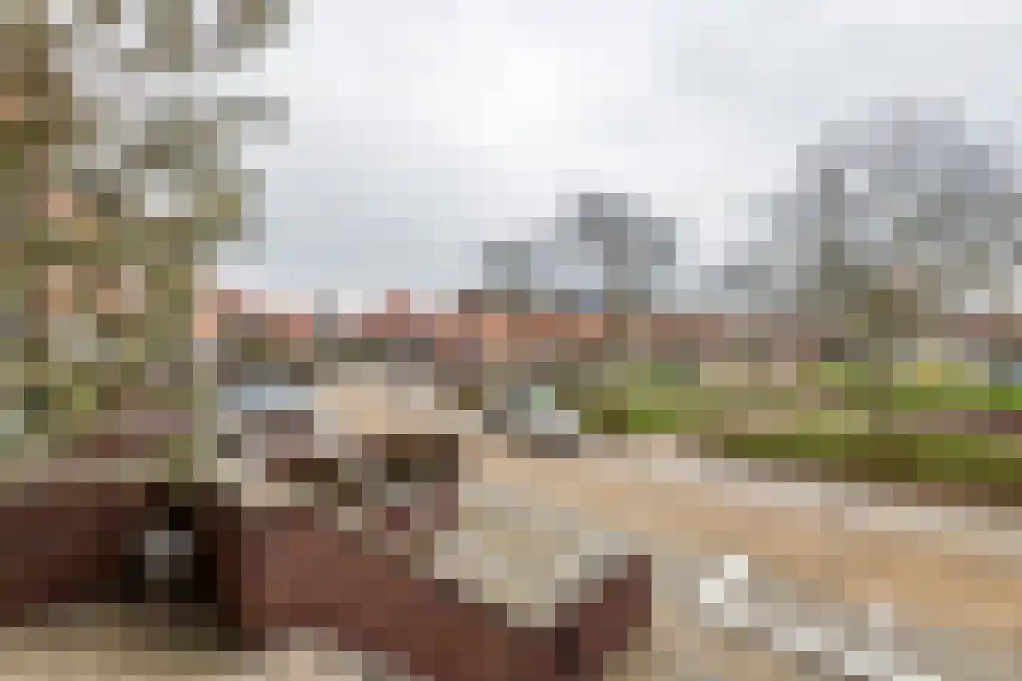 Goudhaver 45 Tiel thumbnail 6