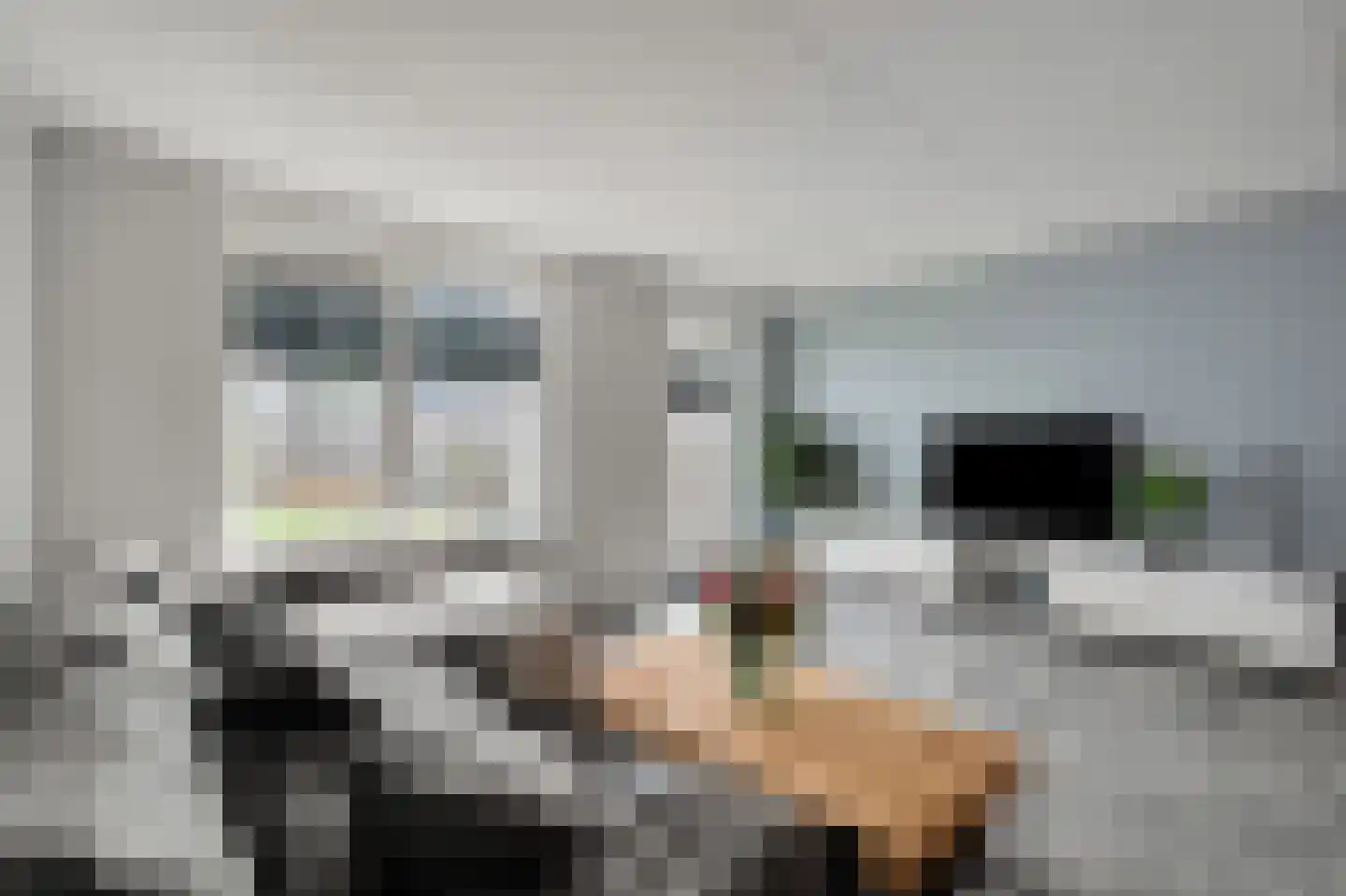 Goudhaver 5 Anna Paulowna thumbnail 10