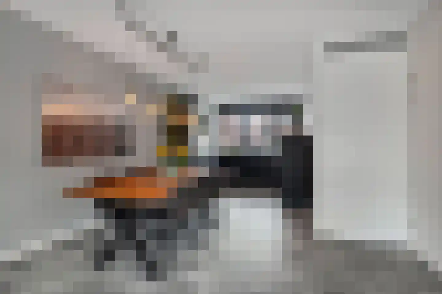 Goudhaver 5 Anna Paulowna thumbnail 11