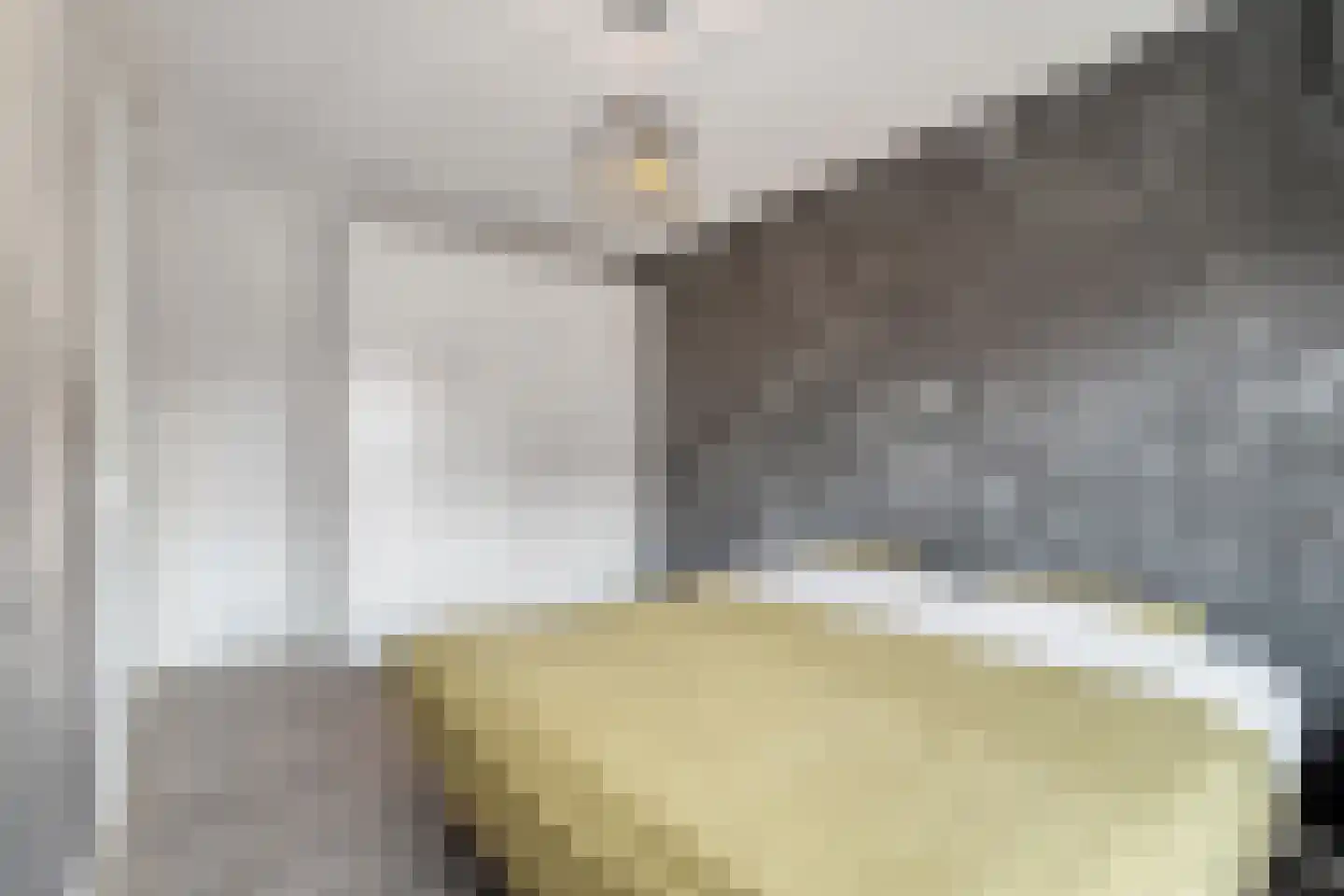 Goudhaver 5 Anna Paulowna thumbnail 18