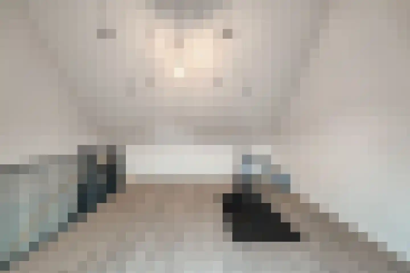 Goudhaver 5 Anna Paulowna thumbnail 26