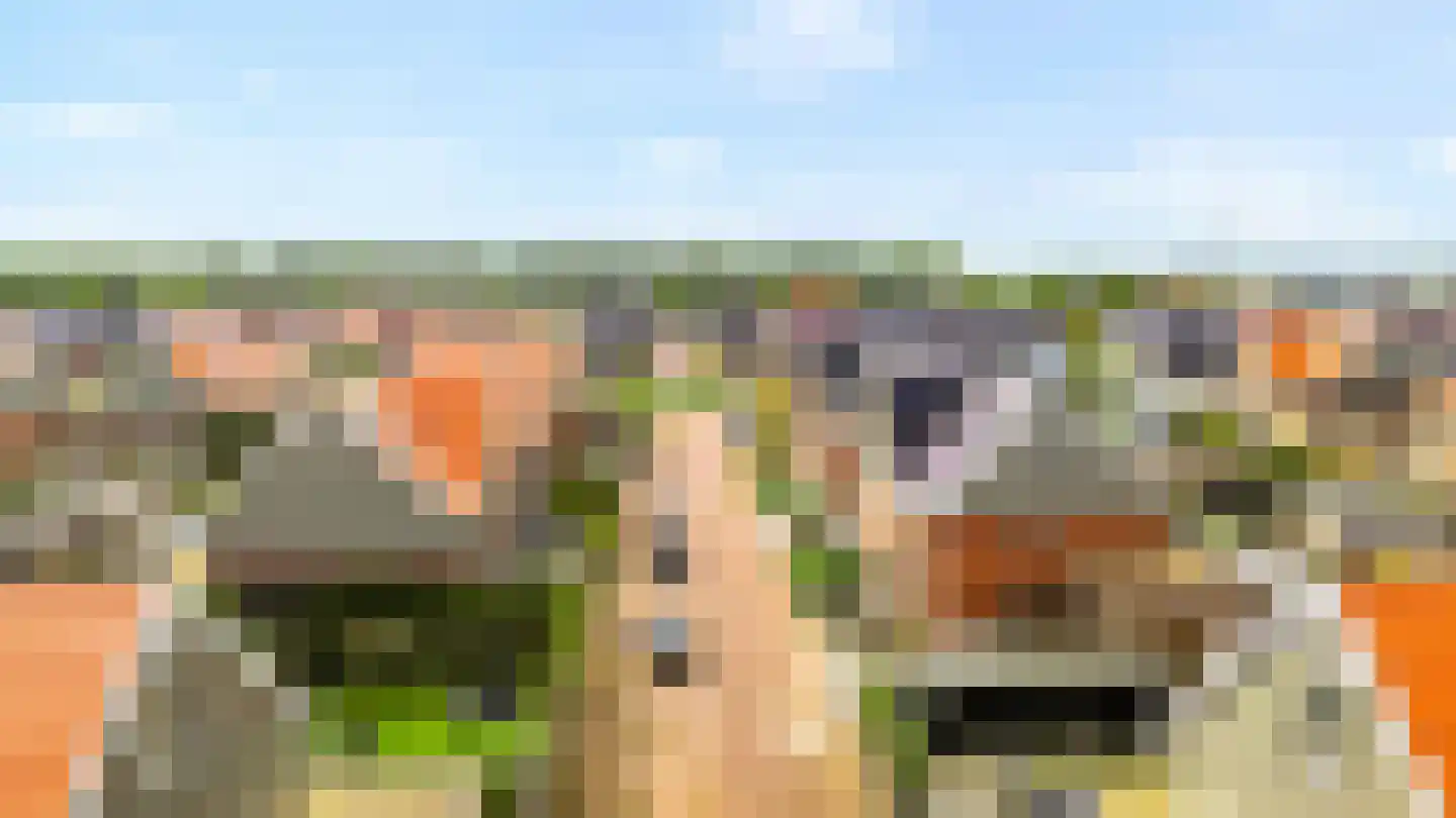 Goudhaver 5 Anna Paulowna thumbnail 32