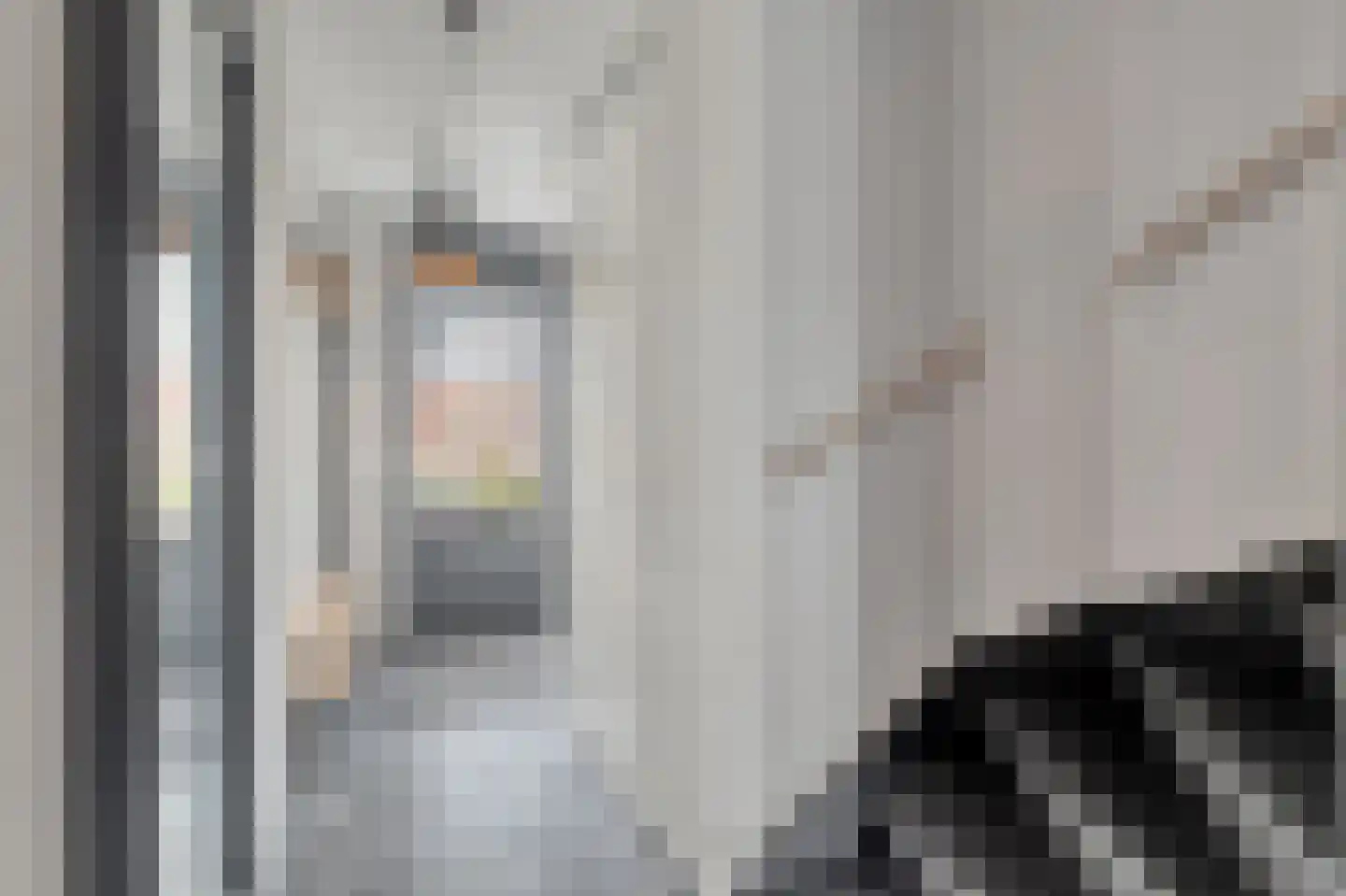 Goudhaver 5 Anna Paulowna thumbnail 7