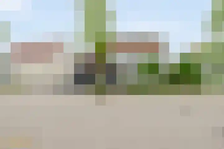 Goudhaver 5 Steyl