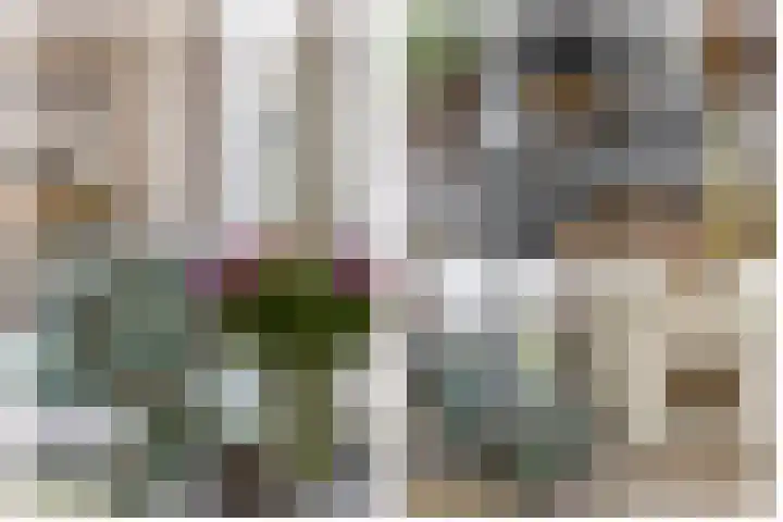 Goudhaver 5 Steyl thumbnail 10