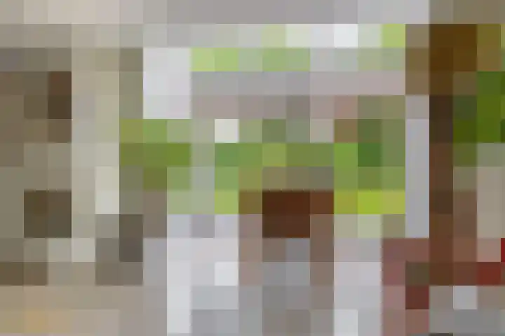 Goudhaver 5 Steyl thumbnail 12