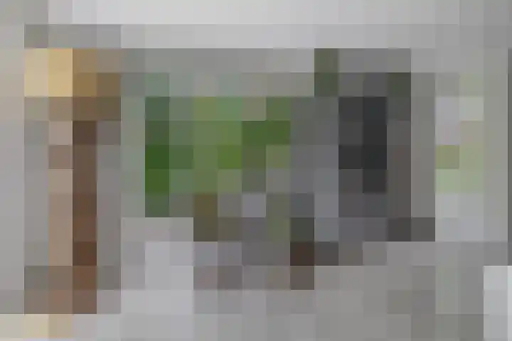 Goudhaver 5 Steyl thumbnail 13