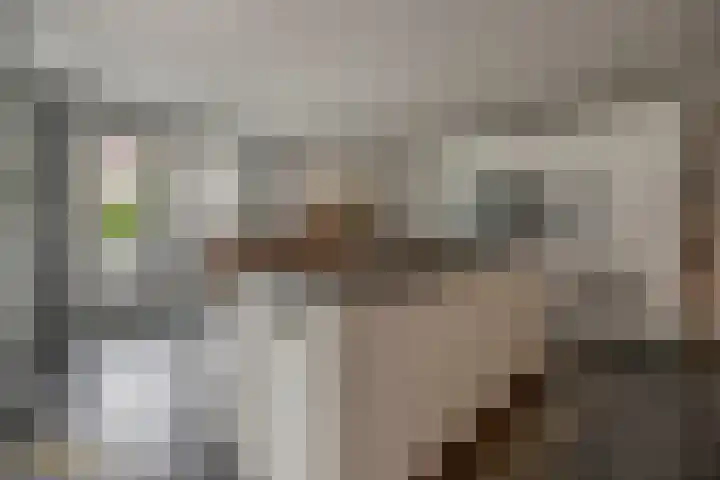 Goudhaver 5 Steyl thumbnail 17