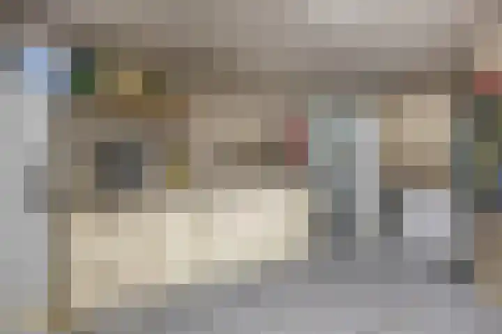 Goudhaver 5 Steyl thumbnail 23