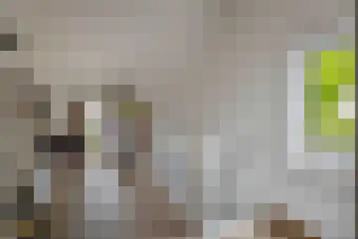 Goudhaver 5 Steyl thumbnail 25