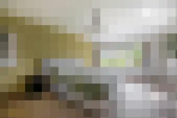 Goudhaver 5 Steyl thumbnail 27