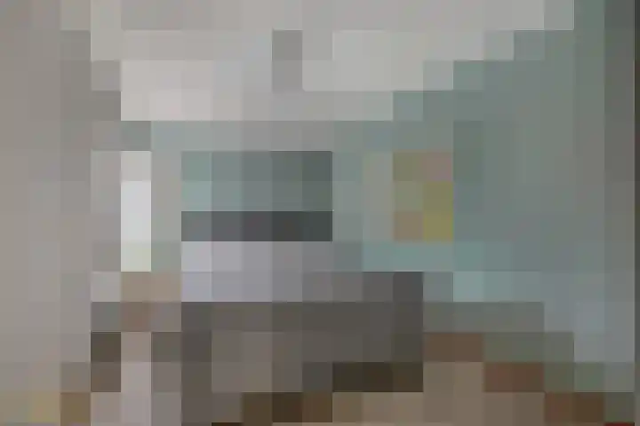 Goudhaver 5 Steyl thumbnail 29