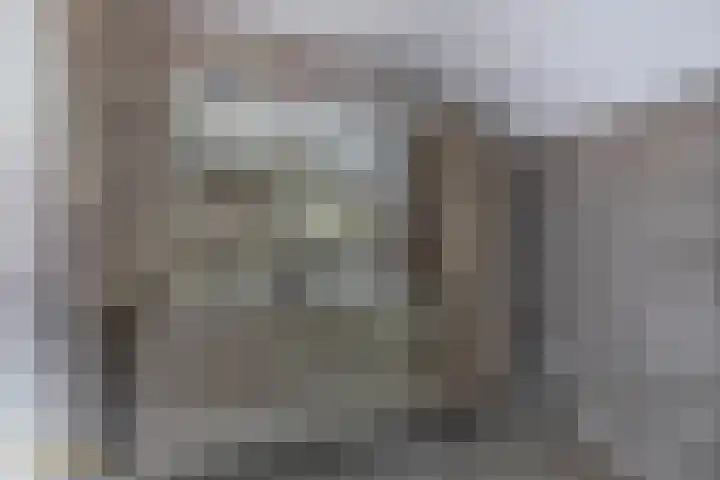 Goudhaver 5 Steyl thumbnail 33