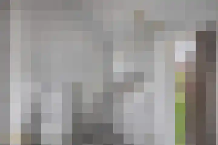 Goudhaver 5 Steyl thumbnail 35