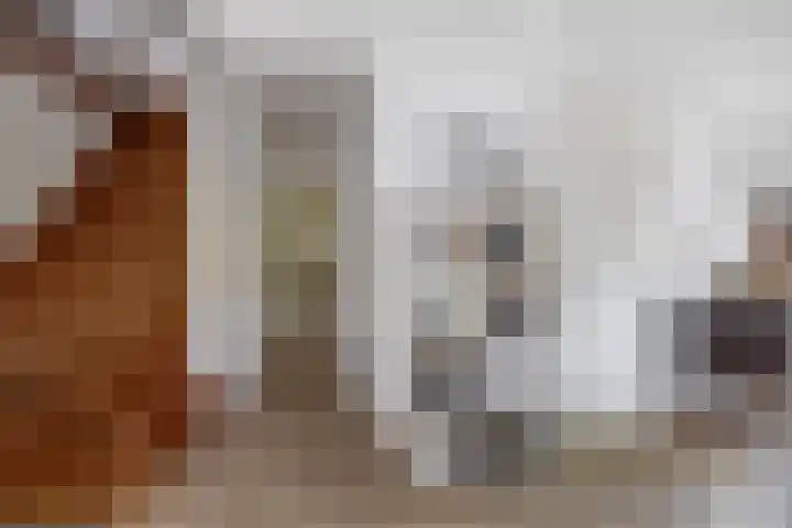 Goudhaver 5 Steyl thumbnail 37