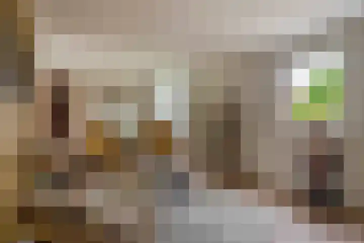 Goudhaver 5 Steyl thumbnail 4