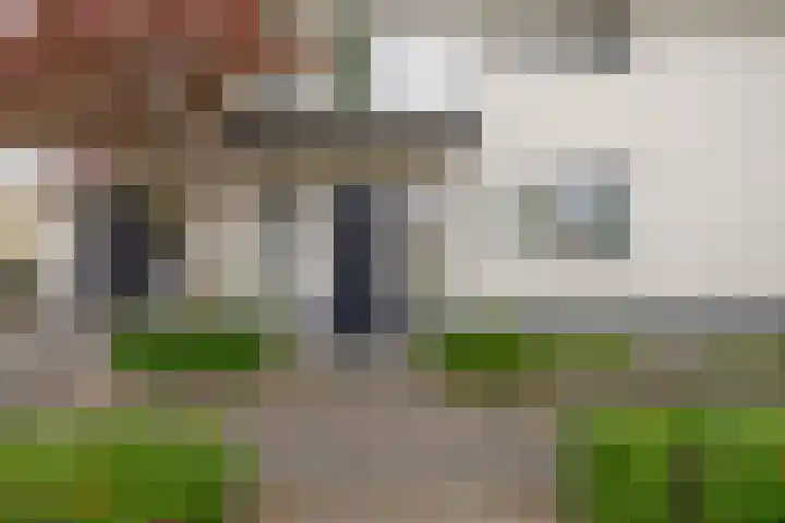Goudhaver 5 Steyl thumbnail 41