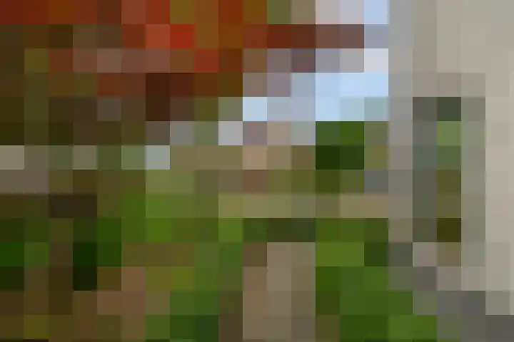 Goudhaver 5 Steyl thumbnail 42