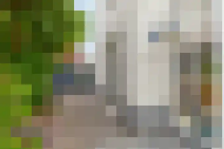 Goudhaver 5 Steyl thumbnail 43