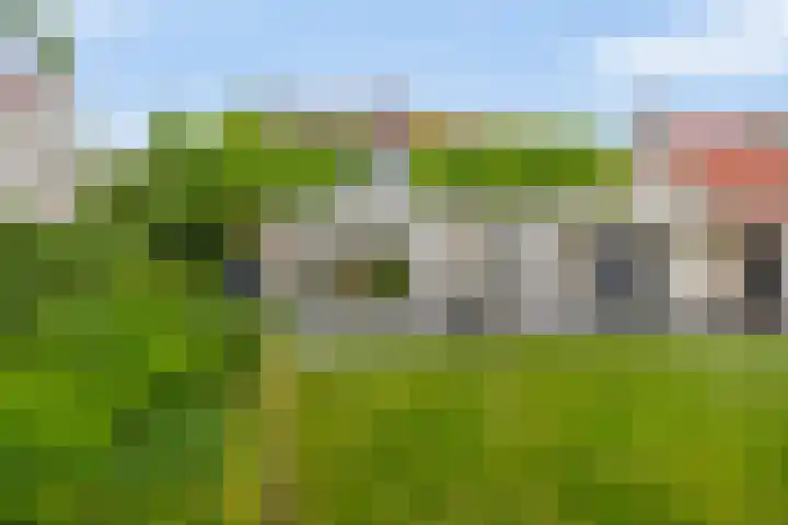Goudhaver 5 Steyl thumbnail 45