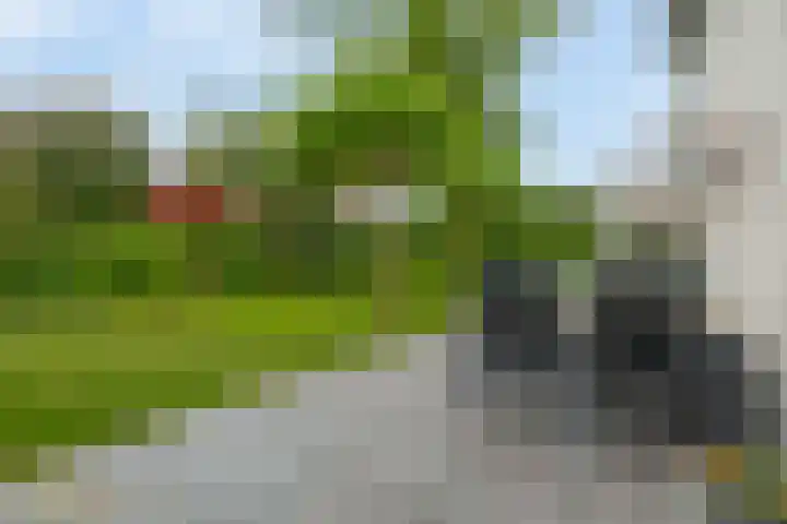 Goudhaver 5 Steyl thumbnail 48