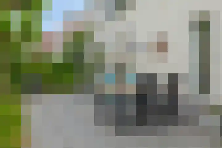 Goudhaver 5 Steyl thumbnail 49
