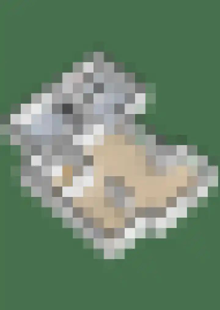 Goudhaver 5 Steyl thumbnail 56