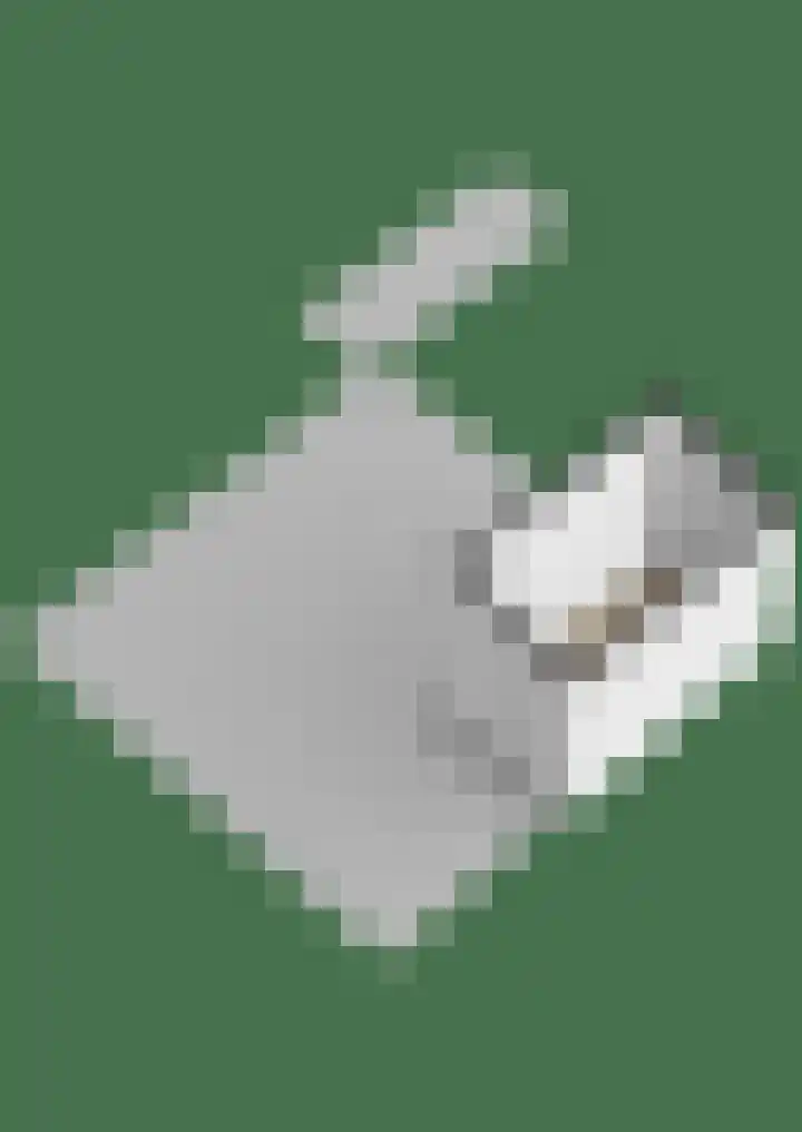 Goudhaver 5 Steyl thumbnail 59